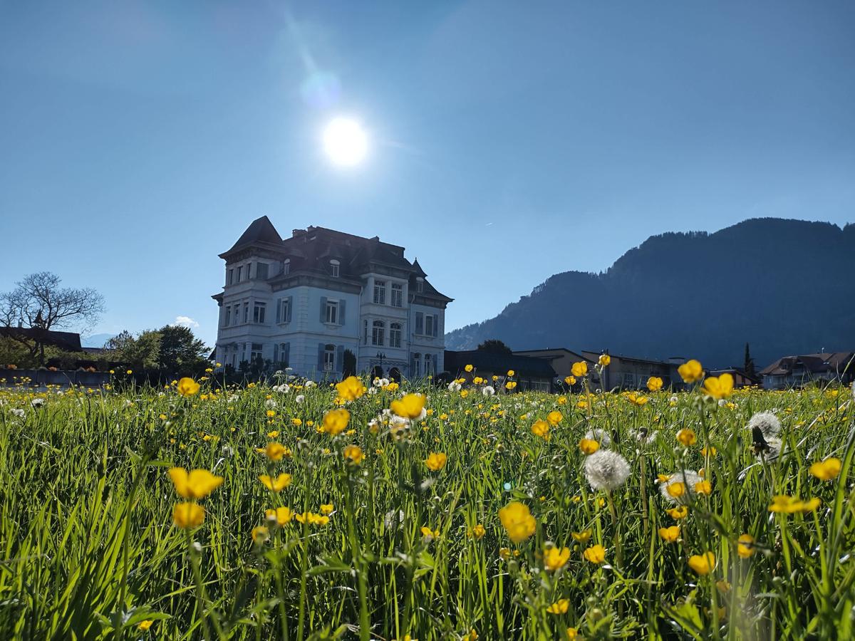 Adventure Hostel Interlaken photo 2