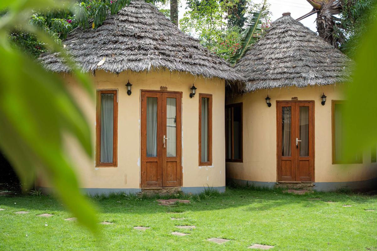 White House of Tanzania photo 1