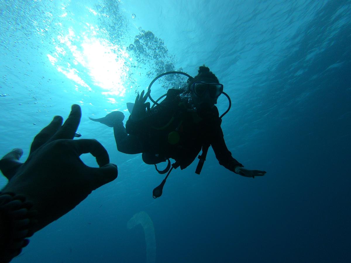 My Hostel in Dahab - Dive club photo 4