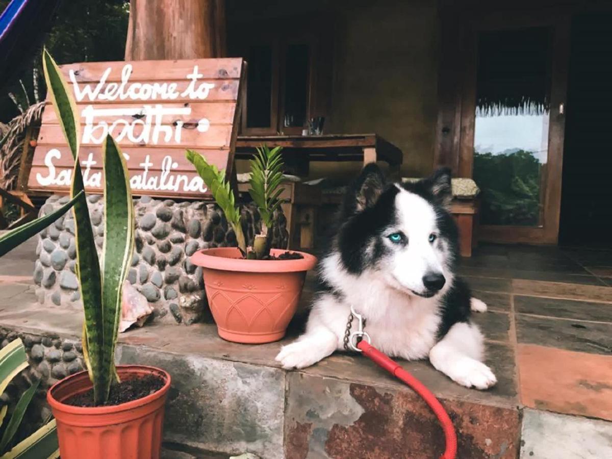 Bodhi Santa Catalina photo 1