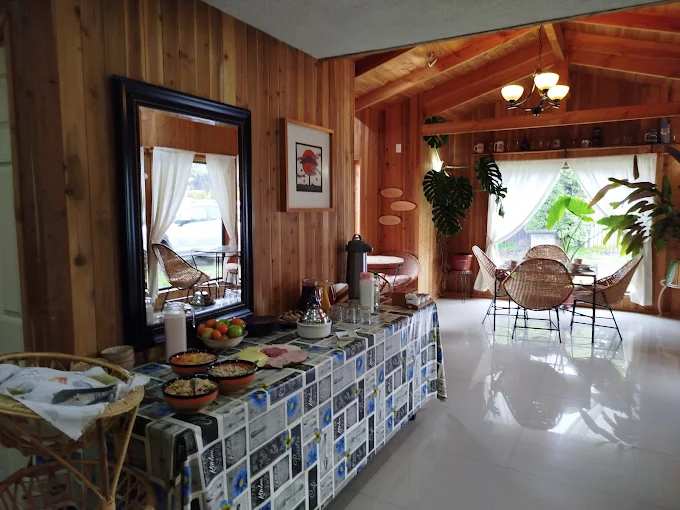Eifelhaus Pucon photo 3