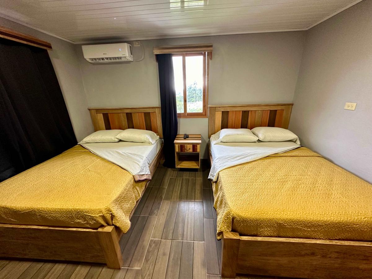 Blasina Beer Hostel photo 2
