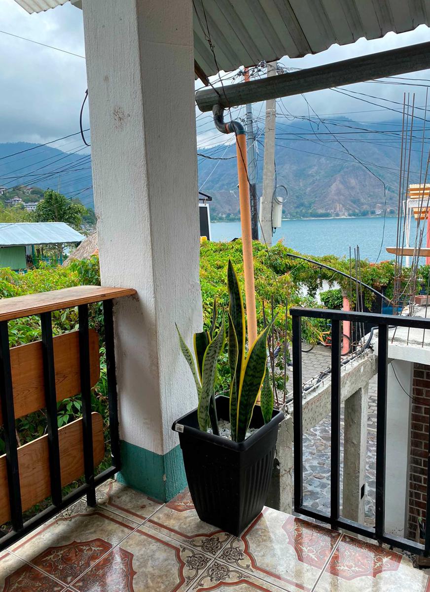 Mini Hostal Garden photo 3
