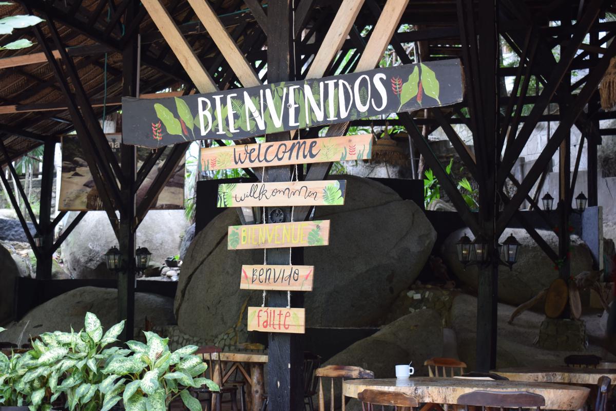 EcoHostal Rio Piedra photo 4