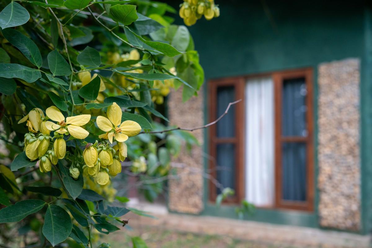 Silent Bungalow River Side photo 1