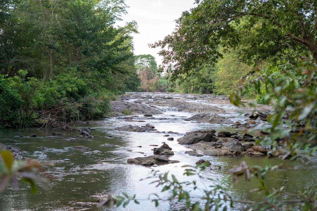 Silent Bungalow River Side photo 4