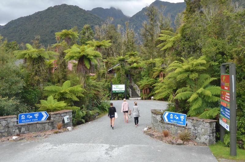 Rainforest Retreat Backpackers photo 3