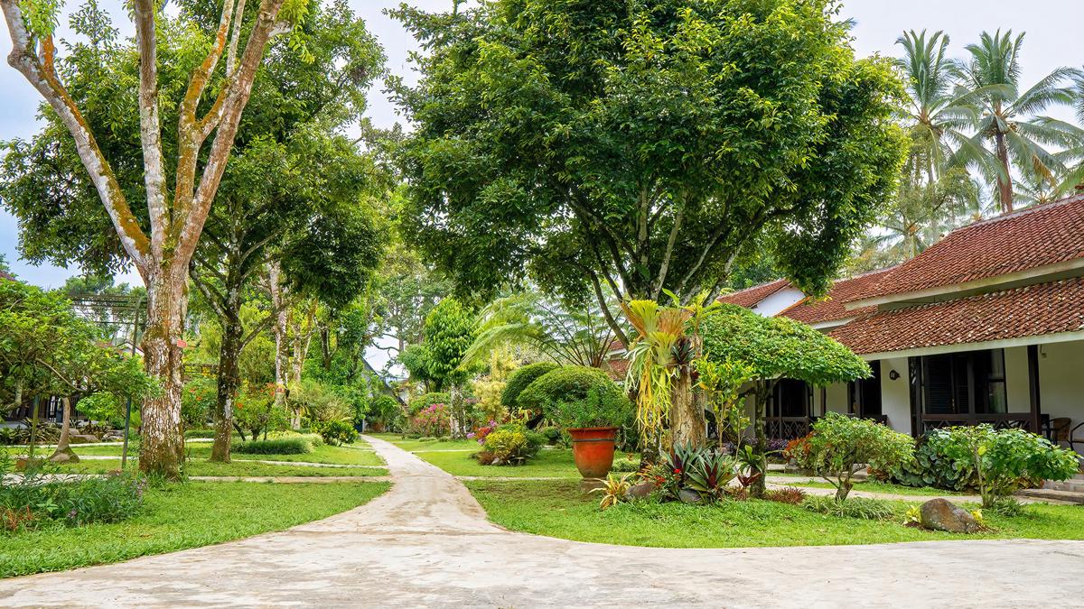 Margo Utomo Eco Resort photo 3