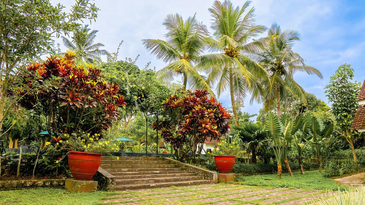 Margo Utomo Eco Resort photo 4