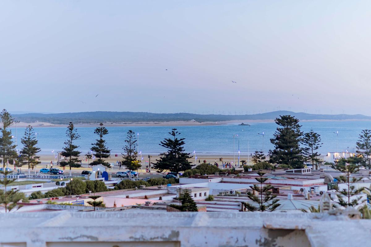Giraffe Hostel- Sea View Rooftop photo 1
