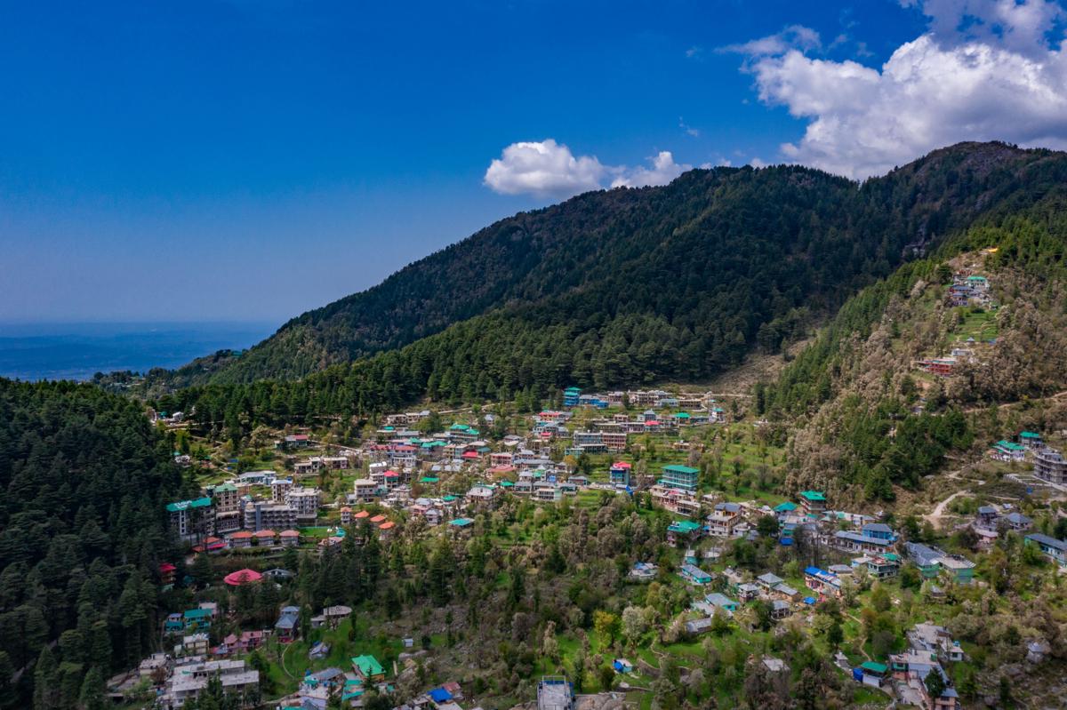 Alt Life - Dharamkot (Mcleodganj) photo 1