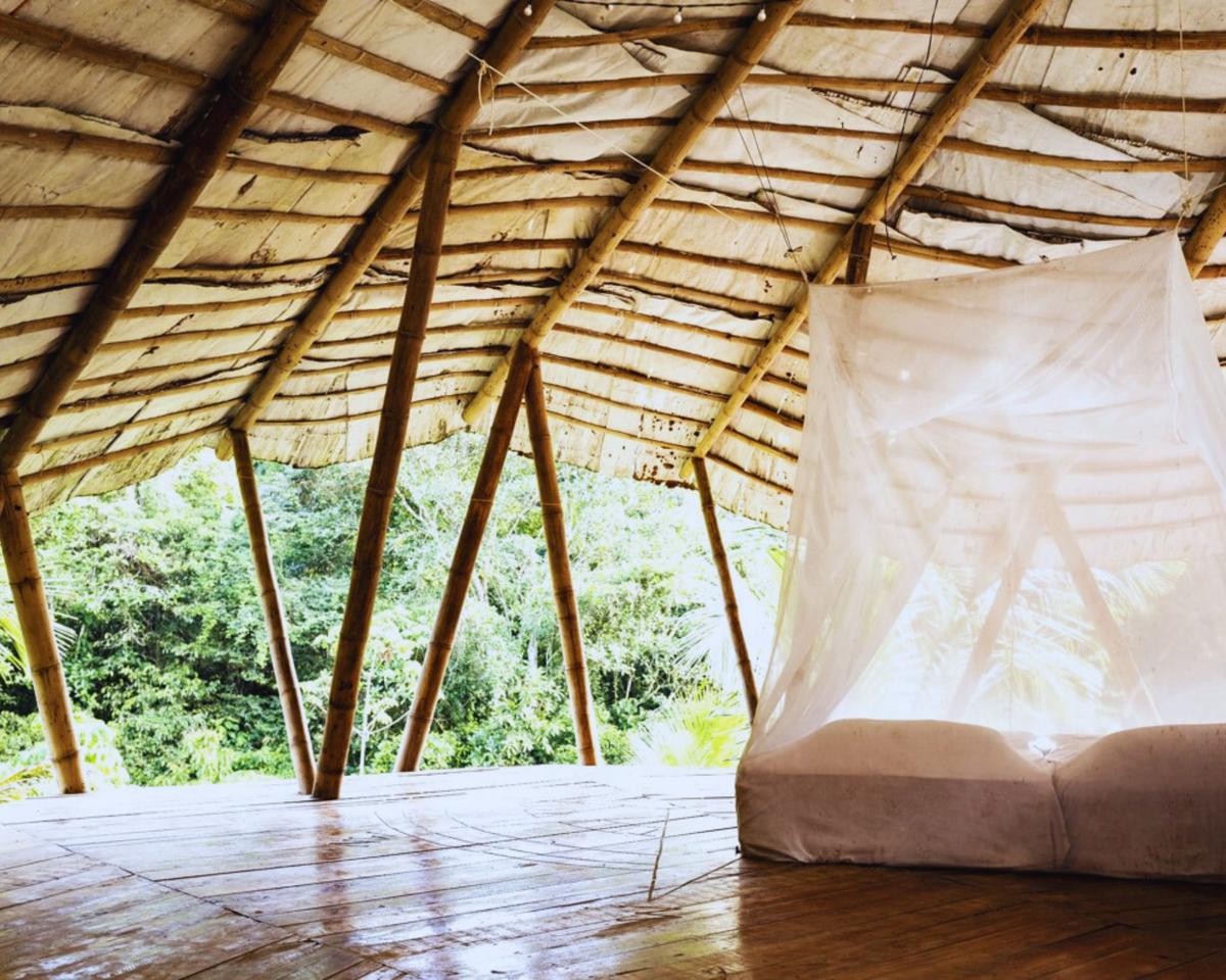 Blue Dot Jungle Eco Hostel photo 1
