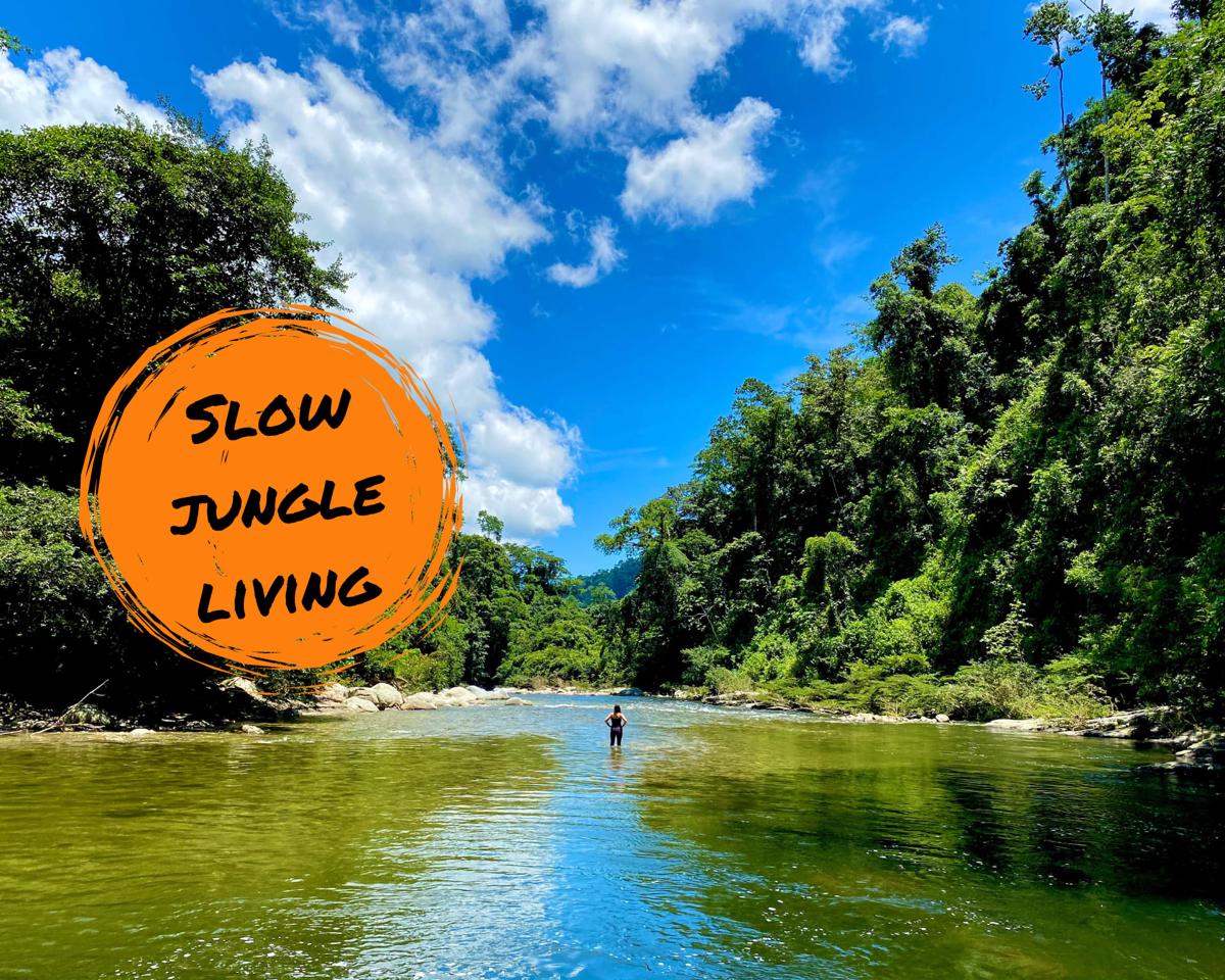 Blue Dot Jungle Eco Hostel photo 2