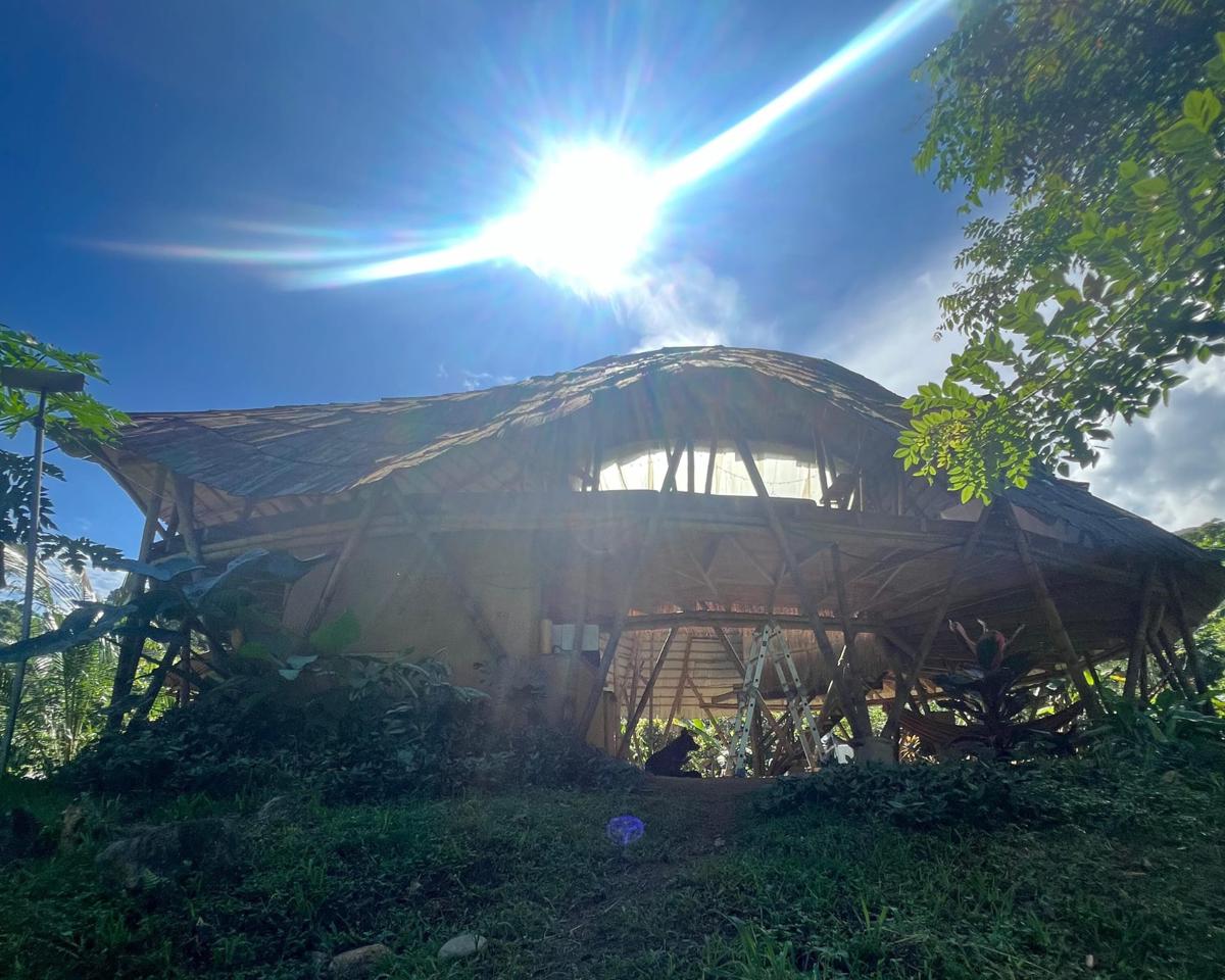 Blue Dot Jungle Eco Hostel photo 3