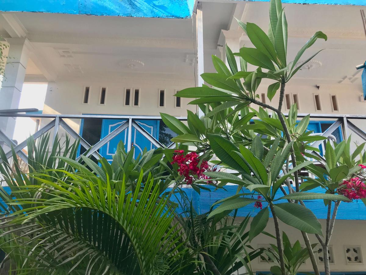 The House Hostel photo 3
