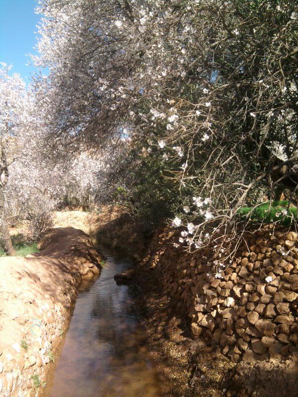 Kasbah Ounila photo 3