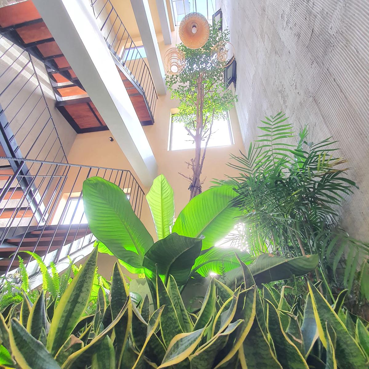 Cagina Boutique Hotel photo 3