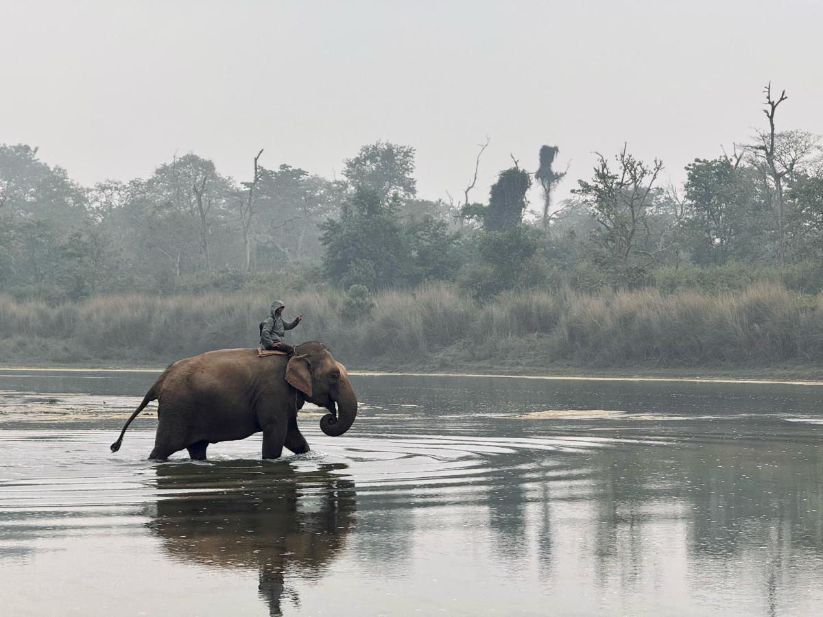 Namaste Bardiya Resort photo 6