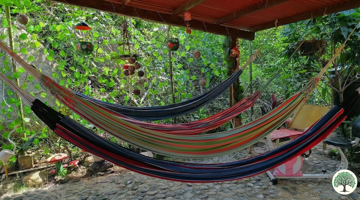 Selva María Tayrona's Hostel photo 2