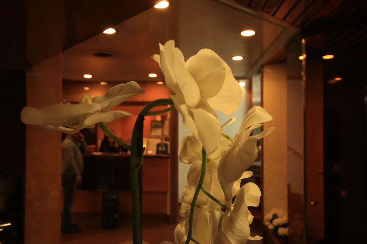 Hotel Lido Milano photo 1