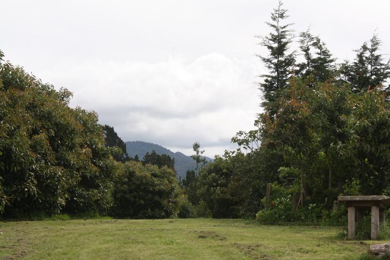 Purple Hen Country Lodge photo 1
