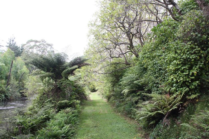Purple Hen Country Lodge photo 3