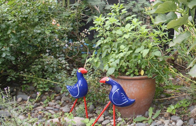 Purple Hen Country Lodge photo 4