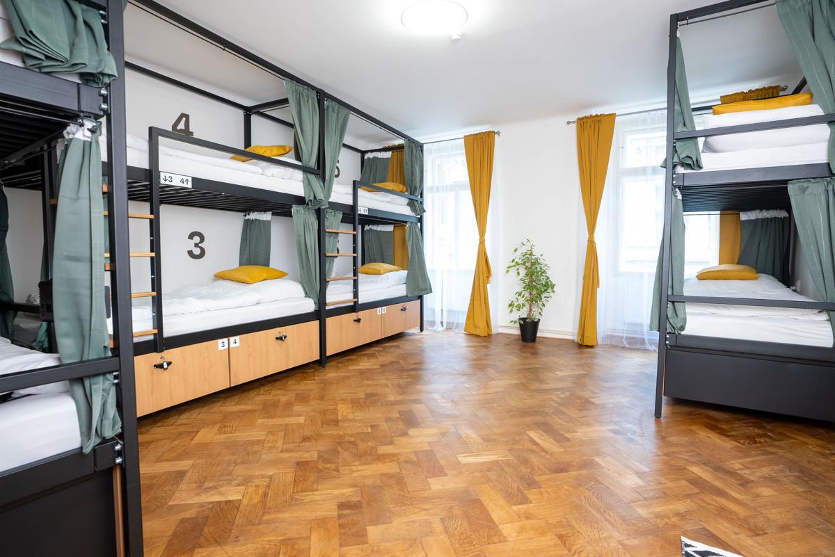 White Wolf House Hostel & Apartments photo 4