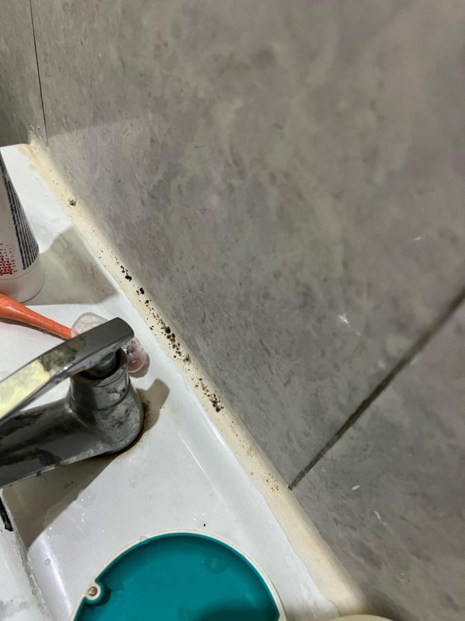 Casa de Vie Homestay photo 6