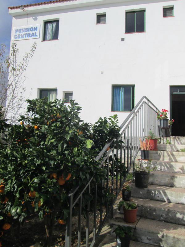 La Palma Hostel by Pension Central photo 4