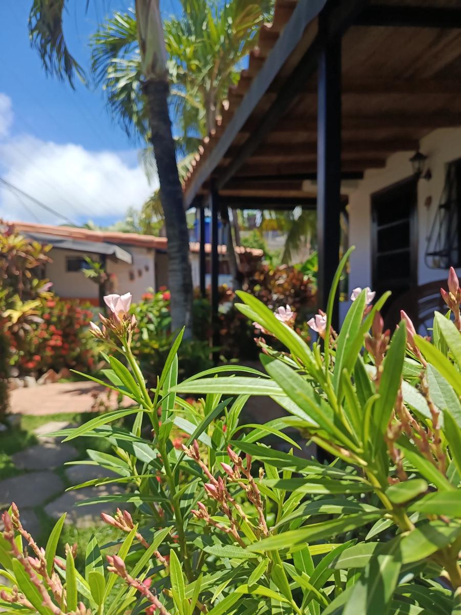 Cabañitas Toucherit photo 3