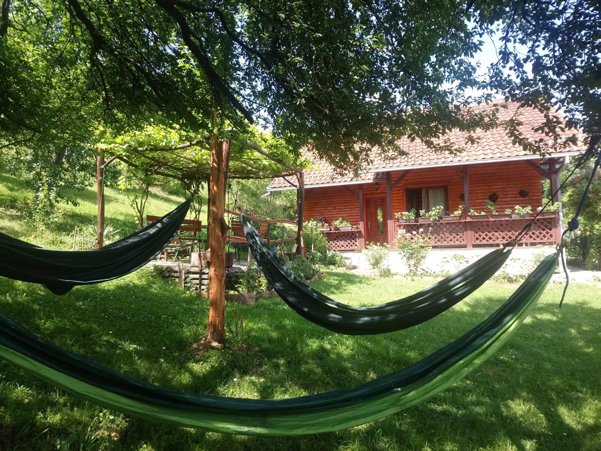 Guest House Little Heaven photo 2