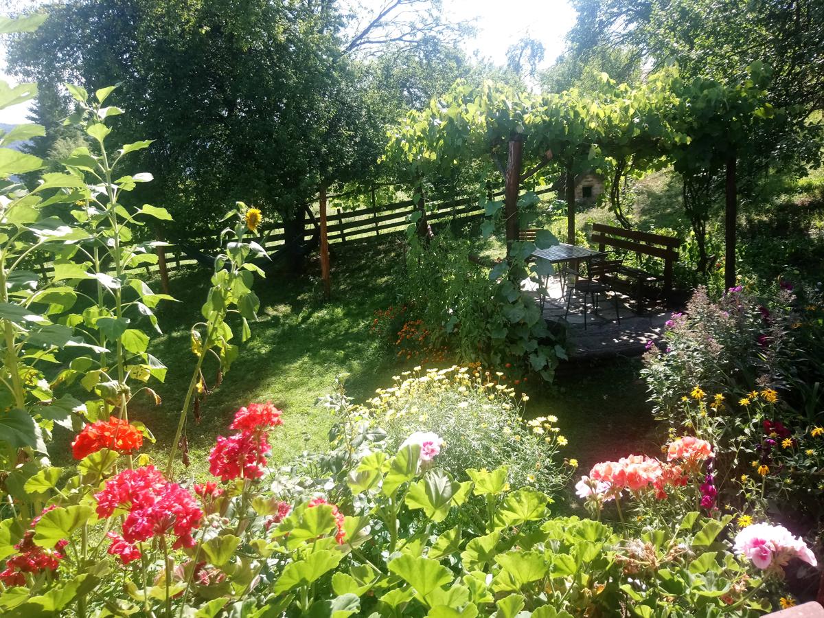 Guest House Little Heaven photo 4