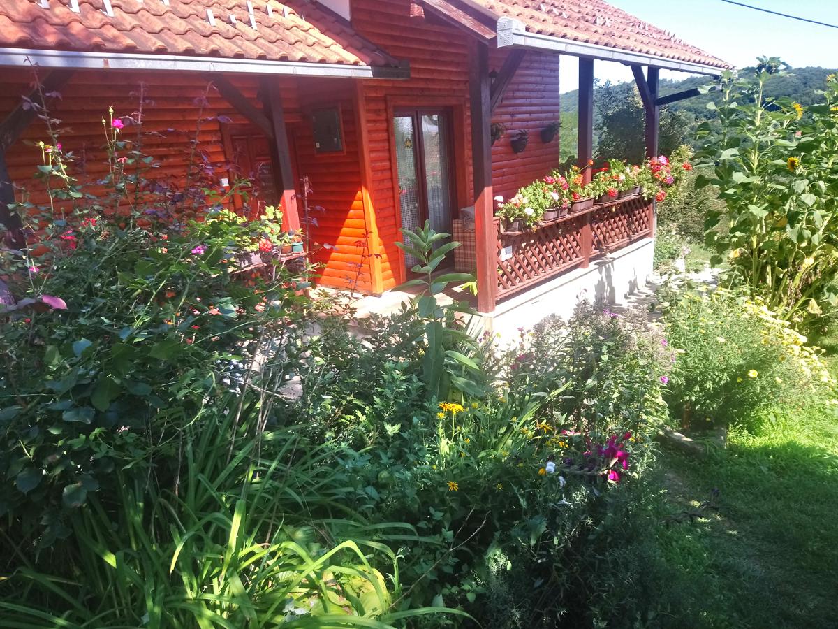 Guest House Little Heaven photo 5