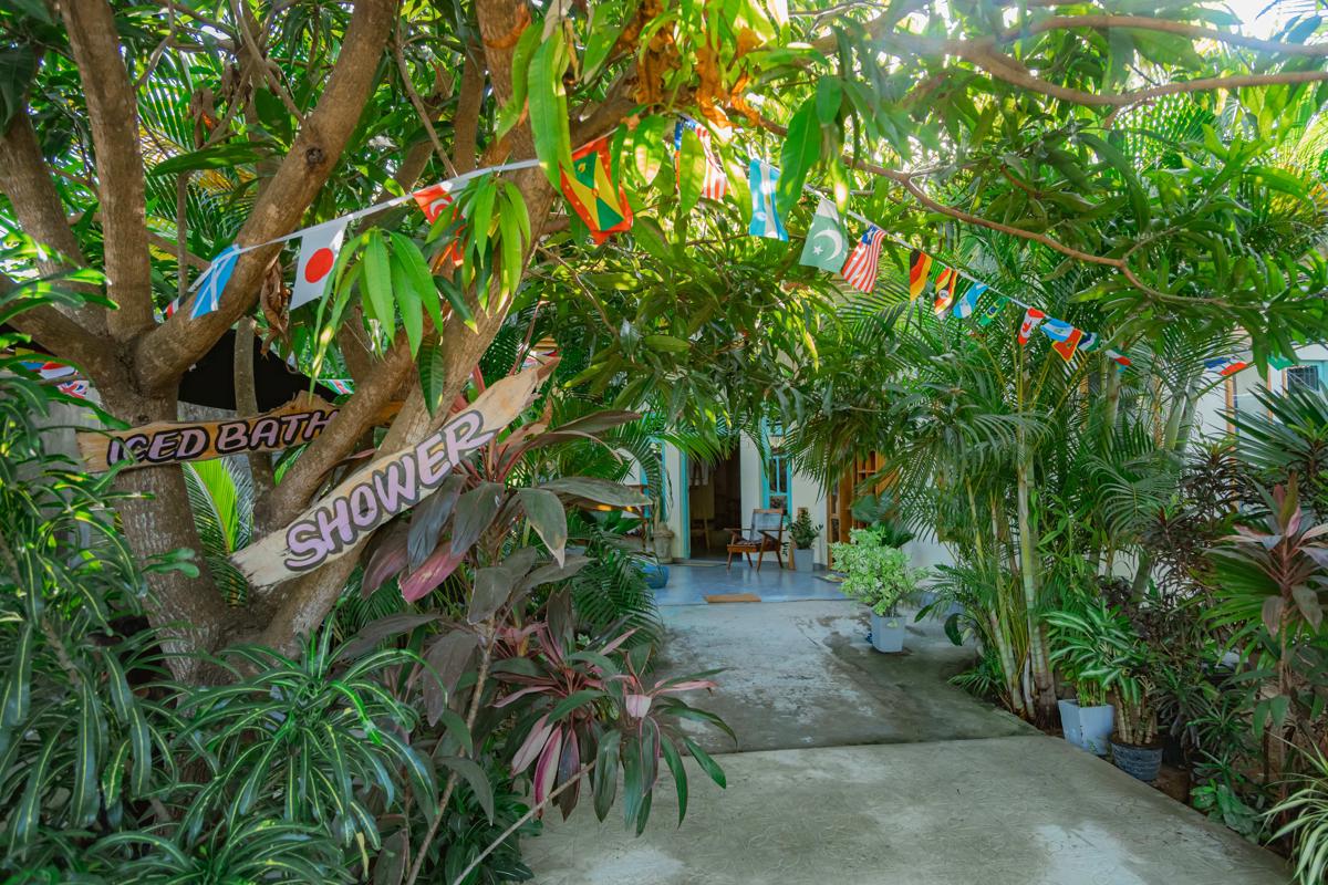 Dreamy Hostel Arugambay photo 4