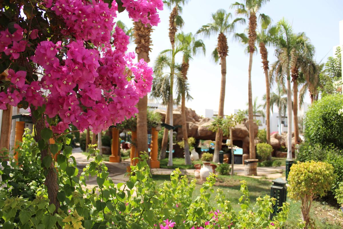 Herrmes Hospitality photo 1