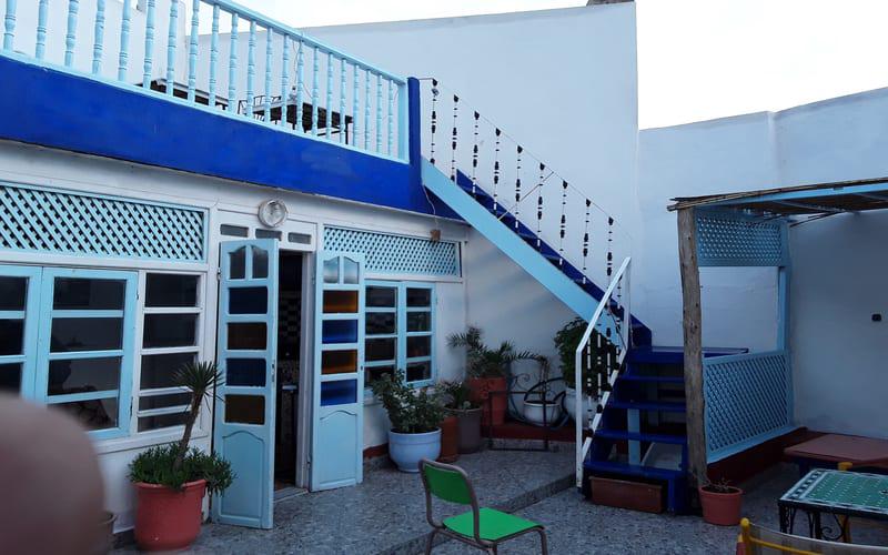 White and Blue photo 1