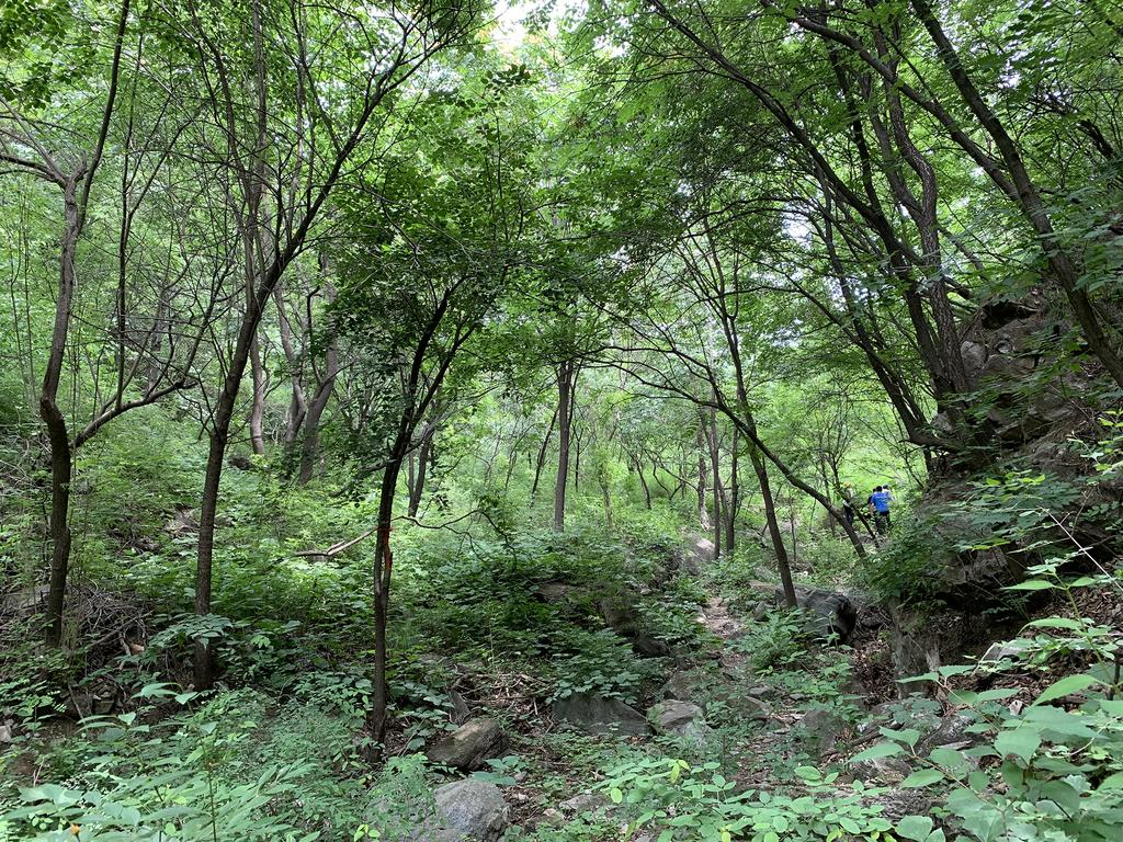 CMYK Stoneyards by the Great Wall photo 3