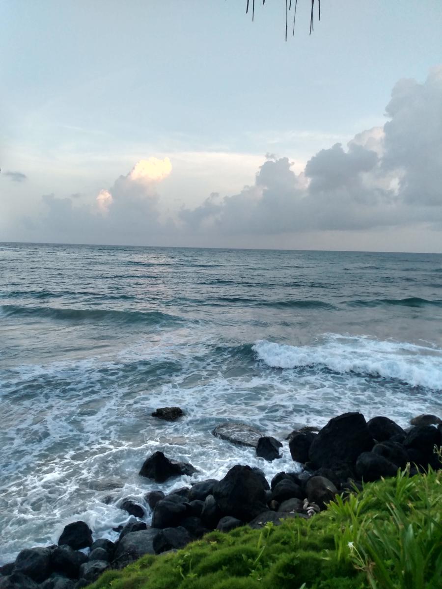 Lulu Vacation Rentals photo 3