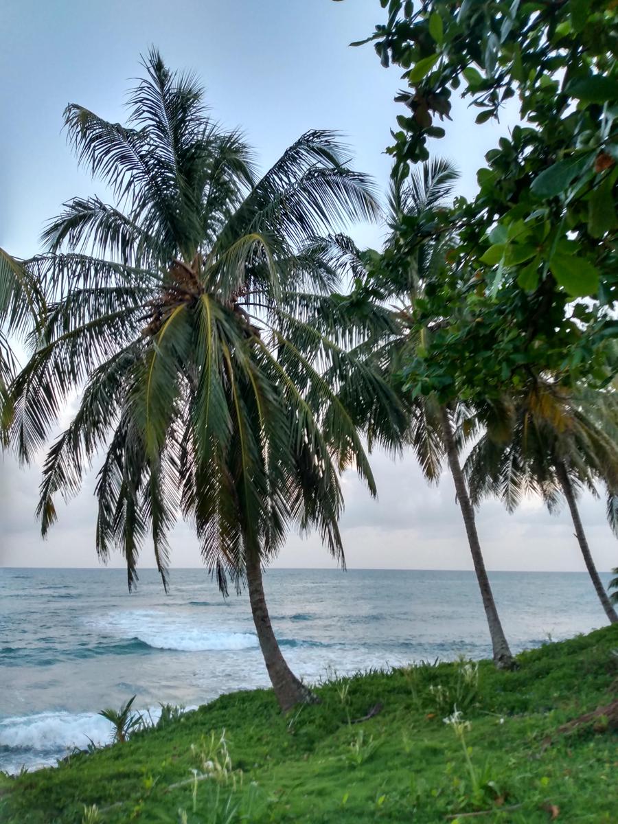 Lulu Vacation Rentals photo 4