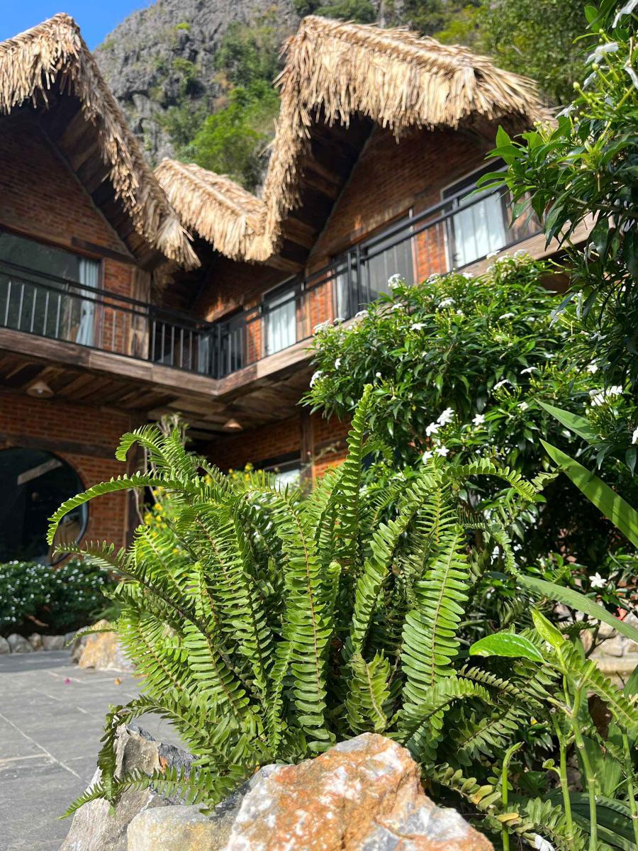 Tam Coc Golden Fields Homestay photo 2