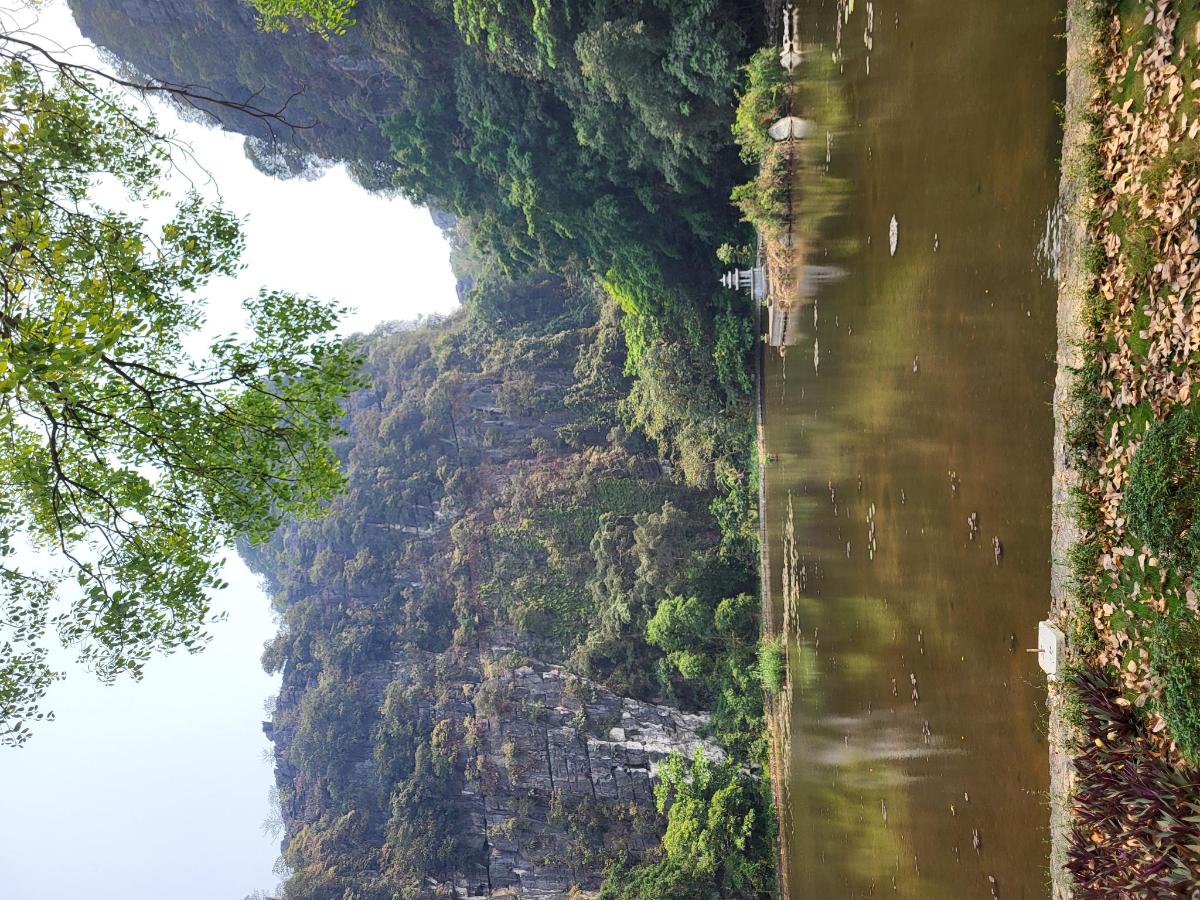 Tam Coc Golden Fields Homestay photo 6