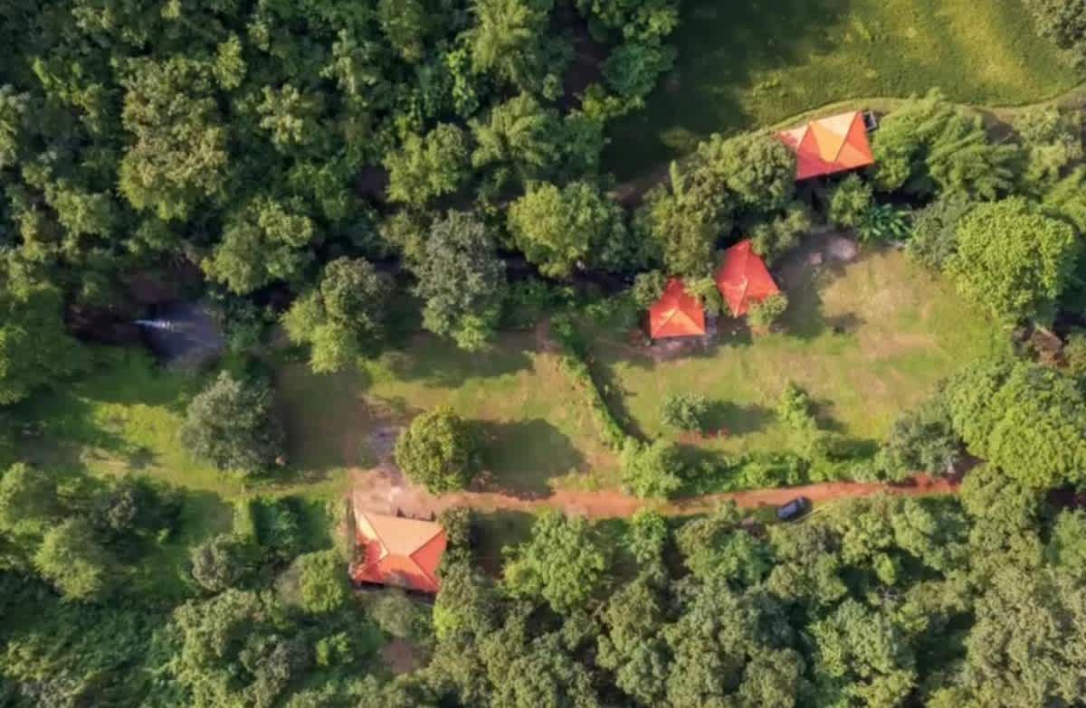 Leafyden Forest Cottages By Nature Hills photo 1