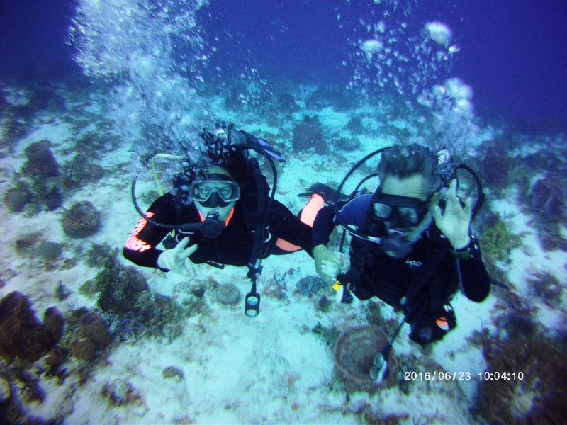 Amigos Hostel Cozumel photo 2