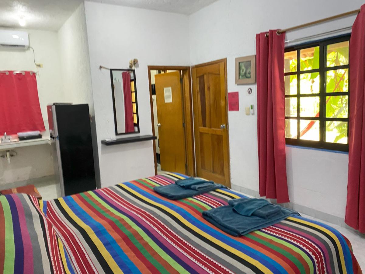 Amigos Hostel Cozumel photo 3