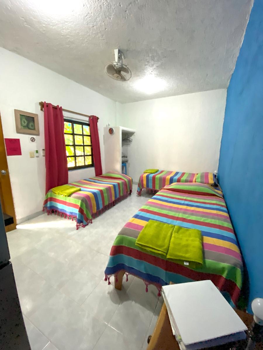 Amigos Hostel Cozumel photo 4