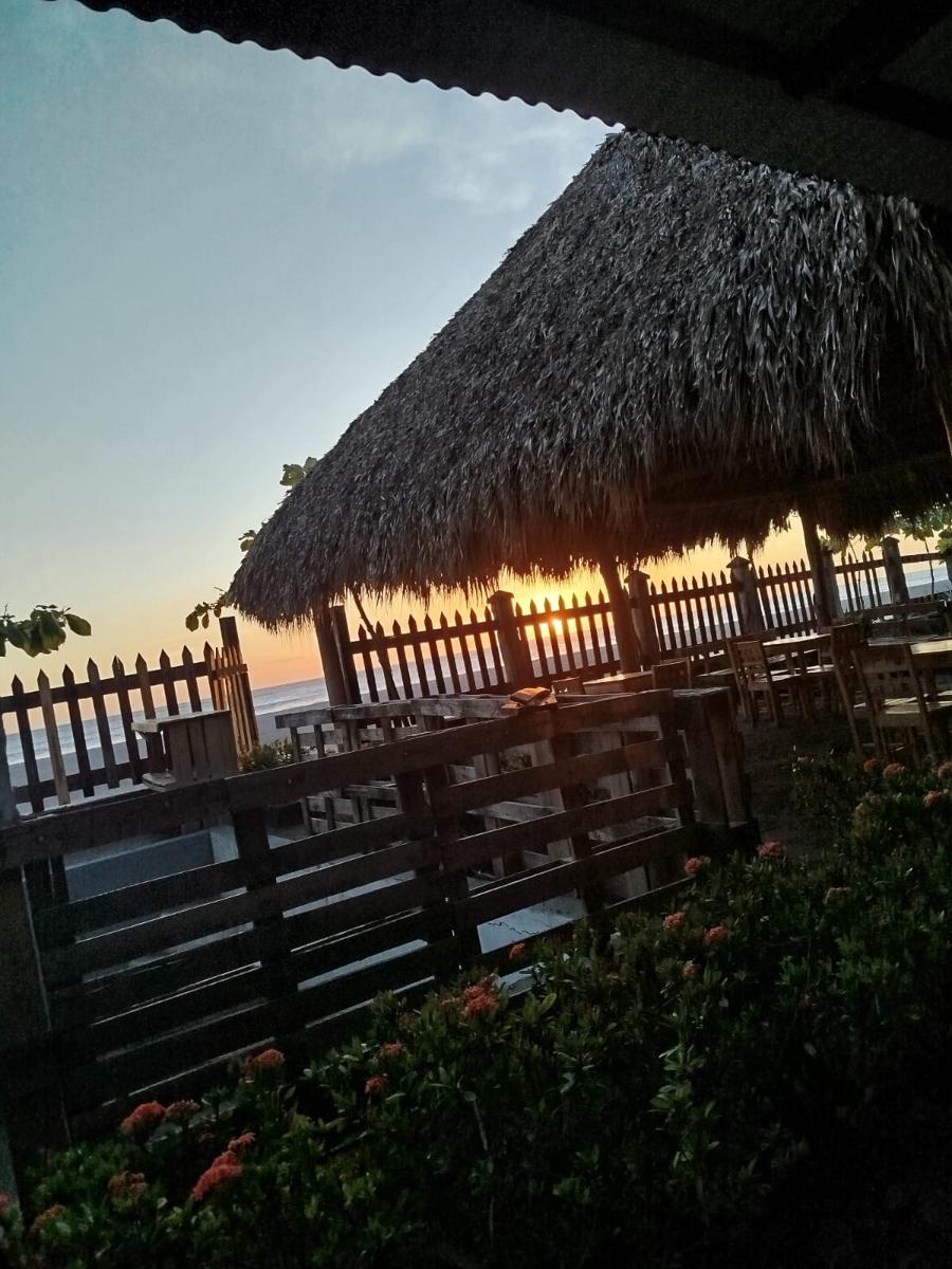 Sabores de Mi Tierra photo 3