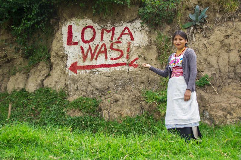 LomaWasi photo 1