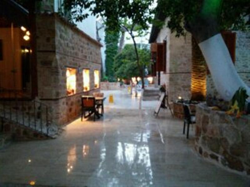 White Garden Pansion photo 2