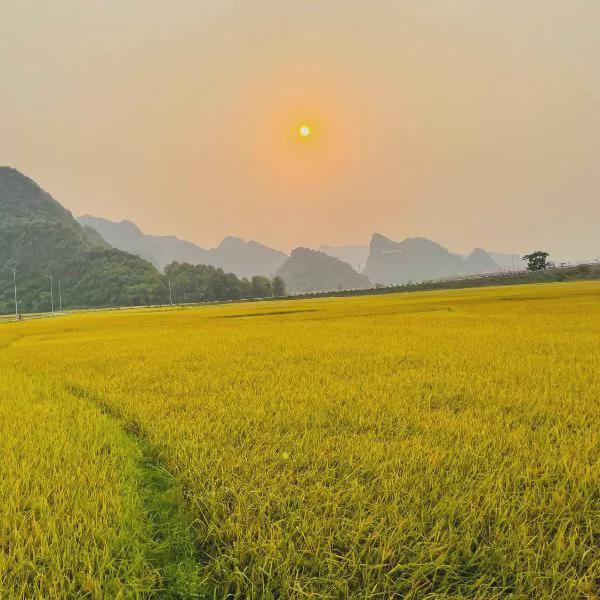 Huy Homestay photo 5